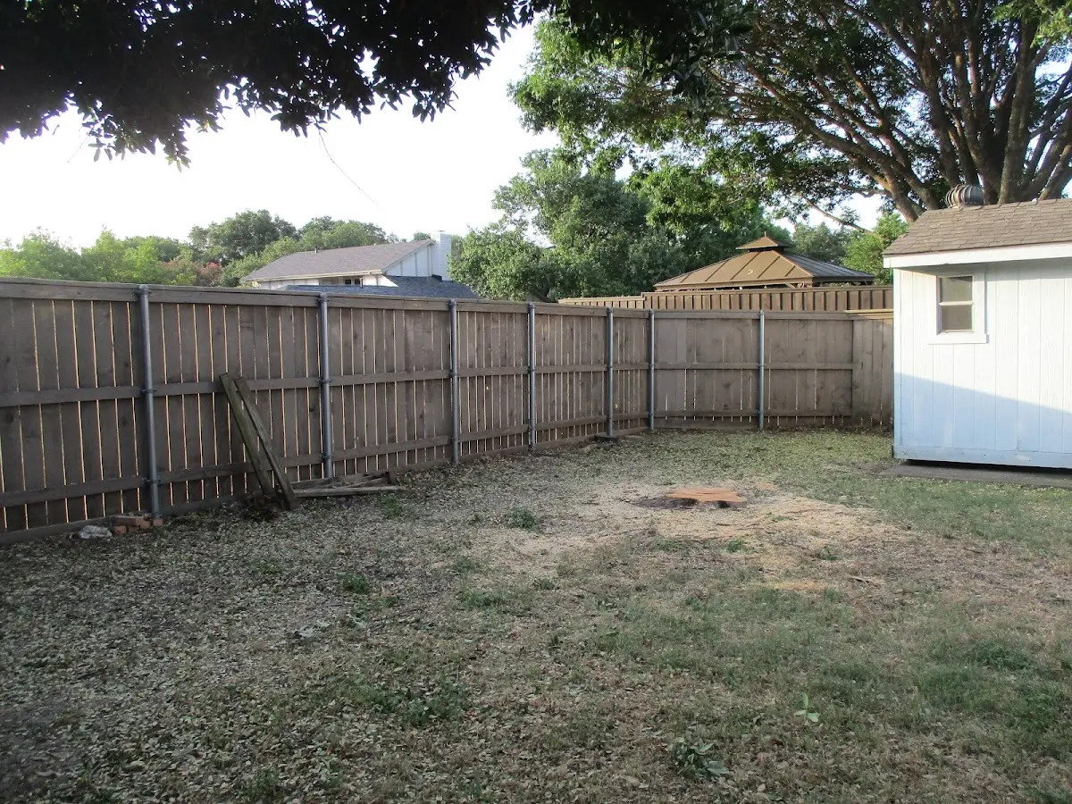 Cleared yard after professional tree removal in Appleton